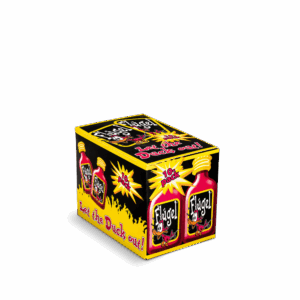1 Karton Flügel Shots 10er Glas
